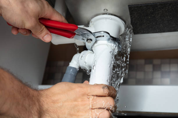 Best Flooded house restoration  in Carrizo Springs, TX