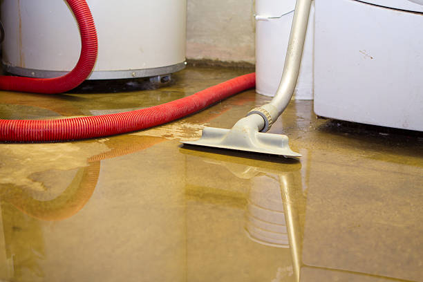 Best 24/7 water damage repair  in Carrizo Springs, TX