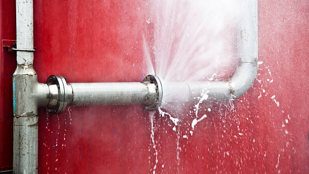 Best Fire Damage Restoration  in Carrizo Springs, TX